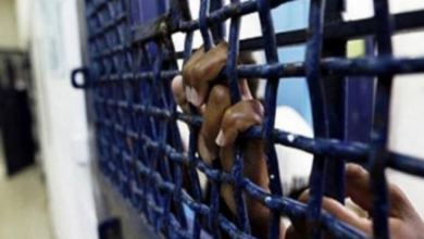 Photo of اليوم الثاني من الهدنة الإنسانية: الاحتلال لا يلتزم بالبنود…ومن المتوقع الإفراج عن 42 أسيرًا فلسطينيًا