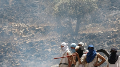 Photo of أراضي الضفة الغربية تحت اعتداءات الاحتلال…مستوطنون يهاجمون المزارعين وجرافات الاحتلال تقتلع 150 شجرة