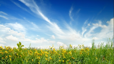 Photo of حالة الطقس: انخفاض طفيف على درجات الحرارة اليوم الثلاثاء