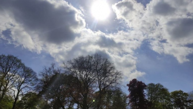 Photo of ارتفاع طفيف يطرأ اليوم على درجات الحرارة وجو مشمس إلى غائم خلال النهار