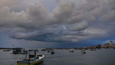 Photo of أجواء خريفية باردة صباحًا وفي ساعات المساء حتى يوم الأحد المقبل