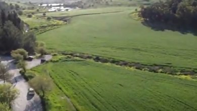 Photo of حالة الطقس: ارتفاع طفيف في درجات الحرارة