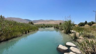 Photo of حالة الطقس: انخفاض طفيف في درجات الحرارة