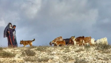 Photo of حالة الطقس: أجواء لطيفة وارتفاع طفيف على درجات الحرارة