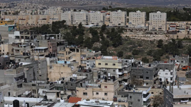 Photo of مقررة أممية: الاستيطان في الأراضي المحتلة جريمة حرب