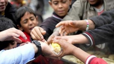 Photo of اليونيسيف: أكثر من 80% من الأطفال في غزة “يعانون من فقر غذائي حاد”
