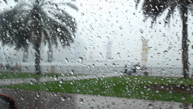 Photo of جو غائم إلى غائم جزئي وفرصة لهطول الأمطار على بعض المناطق