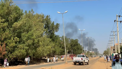 Photo of برنامج الأغذية العالمي بالسودان يتهم الدعم السريع بنهب مستودعاته بولاية الجزيرة