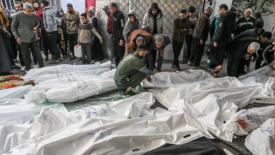 Photo of إعلام عبري: الجيش الإسرائيلي يقتل عشوائيا في غزة والجمهور نفد صبره