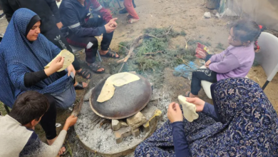 Photo of فايننشال تايمز: انعدام الأمن الغذائي يتفاقم في غزة