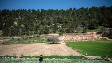 Photo of حالة الطقس: غائم جزئيا.. يحتمل هطول أمطار محلية