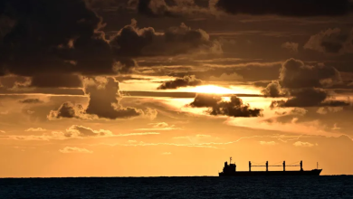 Photo of حالة الطقس: أجواء دافئة.. وأمطار الخير تهل الأربعاء