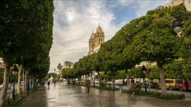 Photo of “بن علي هرب يا أمي”.. صدى ثورة يتردد منذ 13 عاما في تونس