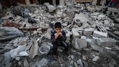 Photo of الغارديان: أرقام تكشف حجم المأساة في غزة