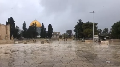 Photo of حالة الطقس: أمطار على فترات مصحوبة بعواصف رعدية