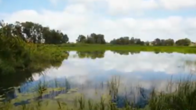 Photo of حالة الطقس: أجواء ماطرة