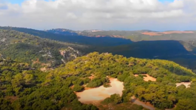 Photo of حالة الطقس: غائم جزئيا إلى صاف