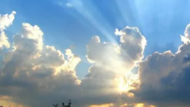 Photo of ارتفاع طفيف على درجات الحرارة وجو مشمس دافئ