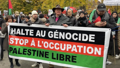 Photo of أكثر من 6211 مظاهرة مؤيدة لفلسطين في القارة الأوروبية