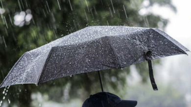 Photo of حالة الطقس: استمرار تأثر البلاد بالمنخفض الجوي حتى الأحد