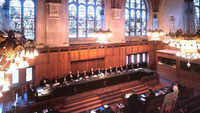 Photo of خبير قانوني: مرافعة إسرائيل في لاهاي ضعيفة وقرار المحكمة خلال أسابيع