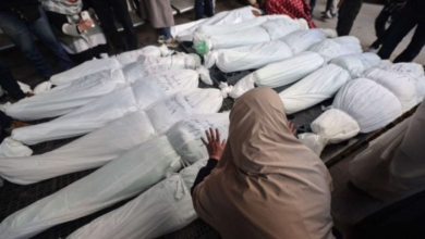 Photo of “صحة غزة”: ارتفاع عدد شهداء العدوان الإسرائيلي إلى24927