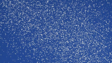 Photo of شاهد بالفيديو…إلقاء منشورات تحمل صورًا وأسماء لأسرى إسرائيليين في غزة