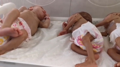 Photo of الأمم المتحدة تحذر من انفجار عدد وفيات الأطفال في غزة