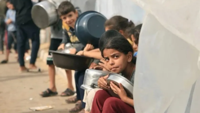 Photo of حماس تقرر تعليق المفاوضات ما لم تدخل المساعدات لشمال غزة فورا