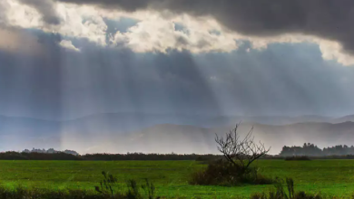 Photo of حالة الطقس: غائم جزئيا إلى غائم وأمطار متفرقة