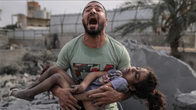 Photo of “يونيسف” تتساءل: كم من الأطفال سيموتون قبل أن ينتهي كابوس غزة؟