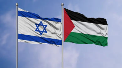 Photo of مؤرخ فرنسي: كيف ضاعت فلسطين ولماذا لم تنتصر إسرائيل؟