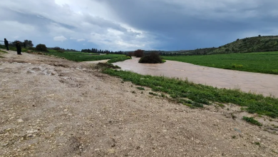 Photo of حالة الطقس: أمطار محلية في شمال ووسط البلاد