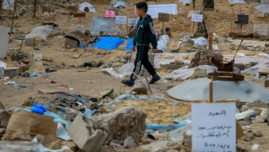 Photo of موقع بريطاني: في غزة أطفال ينامون في أقفاص الدجاج