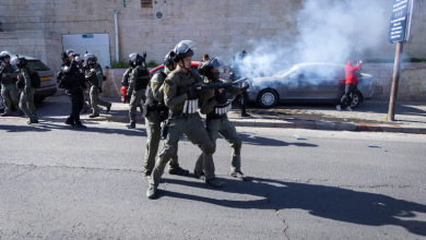 Photo of تقرير: 49 شهيدا بالقدس نصفهم أطفال منذ 7 أكتوبر