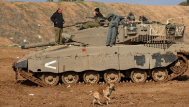 Photo of كلاب غزة الضخمة تعيق عمل الجيش الإسرائيلي في القطاع