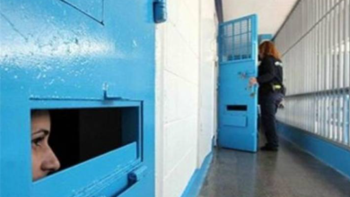 Photo of حامل في شهرها الرابع… نقل السيدة بسيل أبو حميد إلى سجن “هشارون”