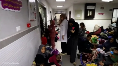 Photo of شاهد بالفيديو –  الجيش الإسرائيلي يجبر مسنة على سرير العلاج على النزوح من مشفى الأمل بخانيونس