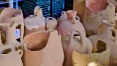 Photo of مدير مخزن آثار غزة: آثارنا الفلسطينية تسرقها إسرائيل