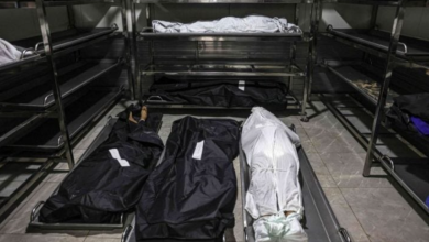 Photo of 126 يوم من الحرب على غزة… 27459 شهيدًا في آخر حصيلة