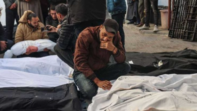 Photo of صحة غزة: ارتفاع حصيلة الحرب الإسرائيلية إلى 29 ألفا و313 شهيدا