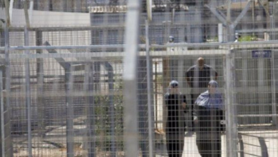 Photo of لجنة أممية: مزاعم الاعتداءات الجنسية الإسرائيلية على الفلسطينيات ذات مصداقية