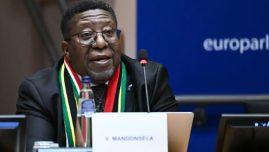 Photo of جنوب أفريقيا تناشد دول العالم للإدلاء بشهادتها من أجل محاسبة إسرائيل