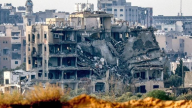 Photo of استشهاد 92 فلسطينيا في قطاع غزة خلال 24 ساعة- (فيديوهات)