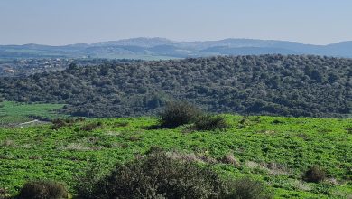 Photo of حالة الطقس: أجواء لطيفة