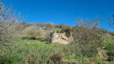 Photo of حالة الطقس: غائم جزئيا إلى صاف