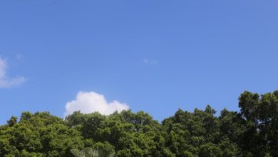 Photo of حالة الطقس: غائم جزئيا إلى صاف