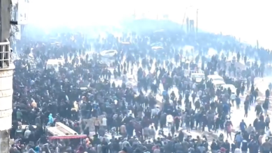 Photo of الميناء الأميركي بغزة وموقف مصر الغائب