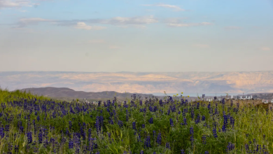 Photo of حالة الطقس: غائم جزئيا ودرجات الحرارة أقل من المعدل
