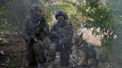 Photo of ميديا بارت: شبح جرائم حرب لفرنسيين في غزة يلوح في الأفق